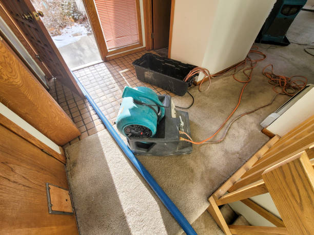 Best 24/7 water damage repair  in Oxoboxo River, CT