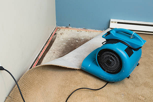 Best Residential water damage restoration  in Oxoboxo River, CT